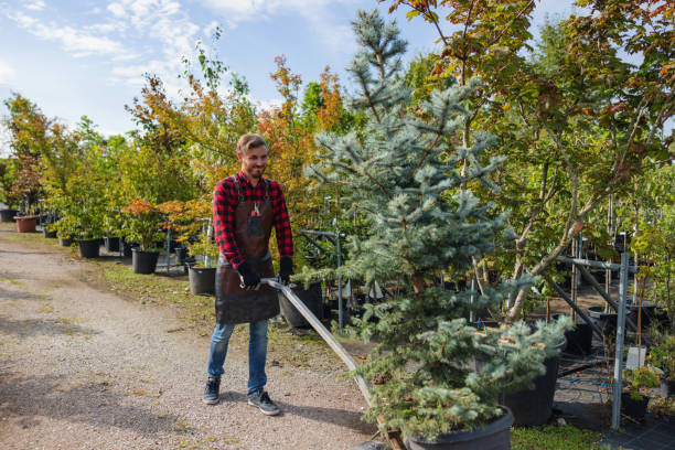 How Our Tree Care Process Works  in Newton, IA